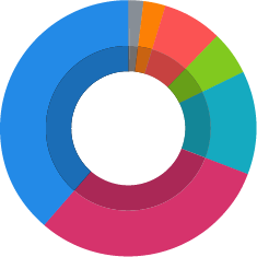 2020 Ethnicity breakdown